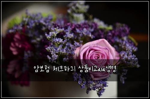 암보험 체크하긔  상품비교aia생명