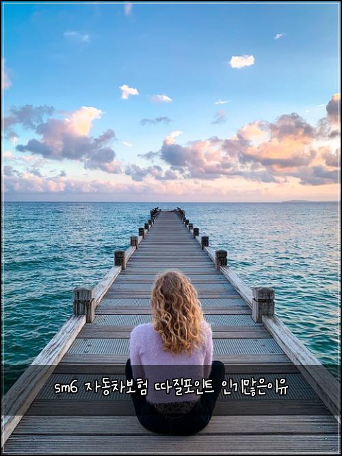 sm6 자동차보험 따질포인트  인기많은이유