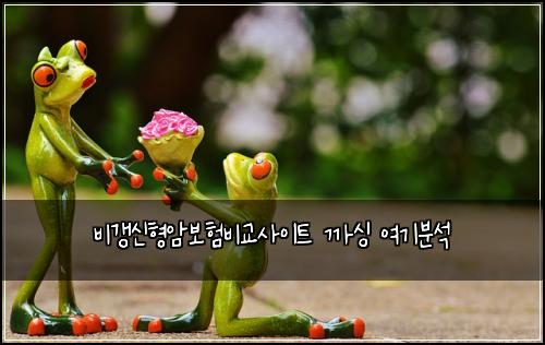 비갱신형암보험비교사이트 까싱 여기분석