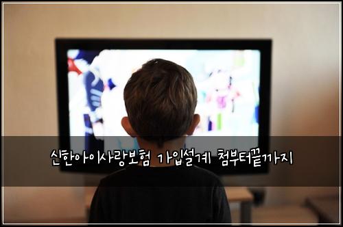 신한아이사랑보험 가입설계  첨부터끝까지