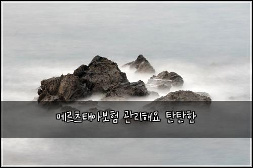 메르츠태아보험 관리해요  탄탄한