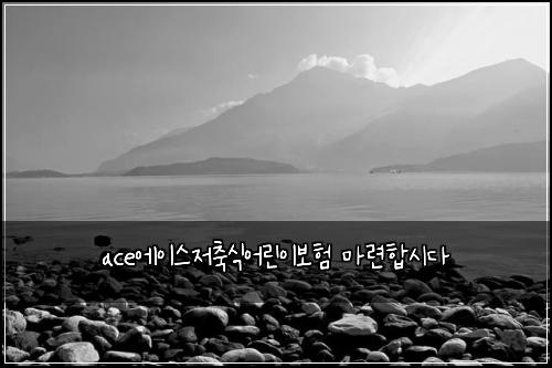 ace에이스저축식어린이보험 마련합시다 