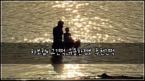 차보험비교견적 유용한정보 추천견적