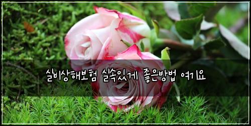 실비상해보험 실속있게  좋은방법 여기요