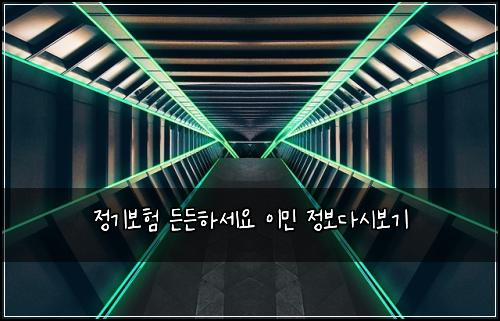 정기보험 든든하세요  이민 정보다시보기