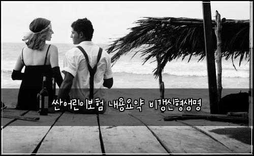 싼어린이보험 내용요약  비갱신형생명