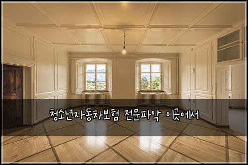 청소년자동차보험 전문파악  이곳에서