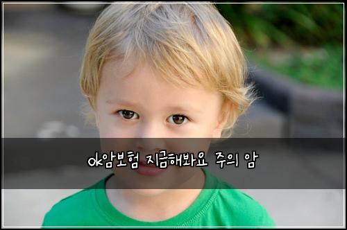 ok암보험 지금해봐요  주의 암