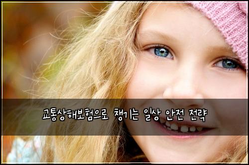 교통상해보험으로 챙기는 일상 안전 전략