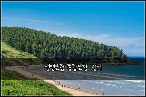 ์๋ช
๋ณดํ ์ข
ํฉ๋ณด์ฅ ์ ๊ธฐ