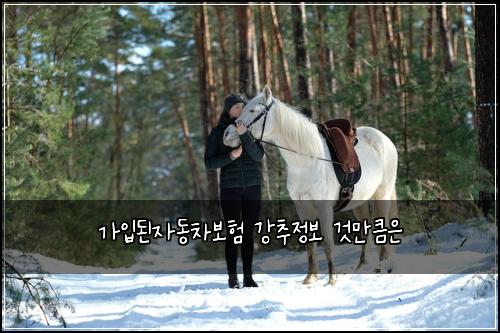 ๊ฐ์
๋์๋์ฐจ๋ณดํ ๊ฐ์ถ์ ๋ณด ๊ฒ๋งํผ์