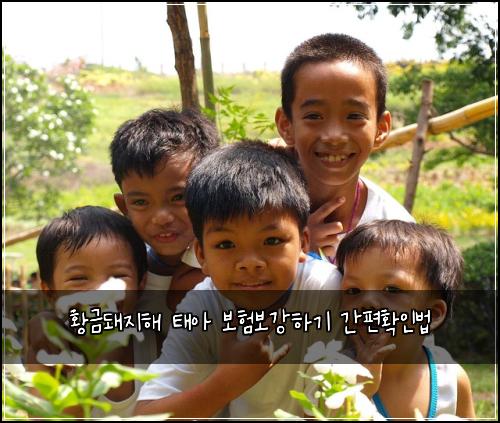 황금돼지해 태아 보험보강하기 간편확인법