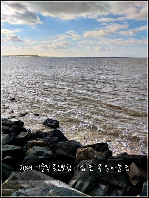 20대 기술직 종신보험 가입 전 꼭 알아둘 점
