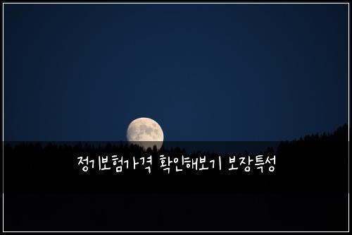 ์ ๊ธฐ๋ณดํ๊ฐ๊ฒฉ ํ์ธํด๋ณด๊ธฐ ๋ณด์ฅํน์ฑ