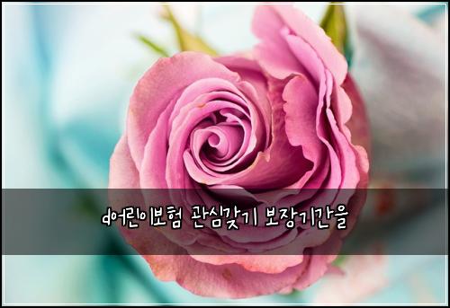 d어린이보험 관심갖기  보장기간을