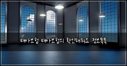 태아보험 태아보험의 확인해둬요 정보톡톡