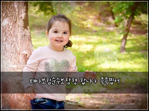 태아보험순수보장형 합니다 콕콕찝어