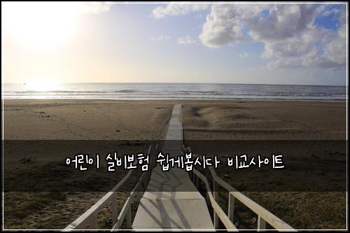 어린이 실비보험 쉽게봅시다  비교사이트