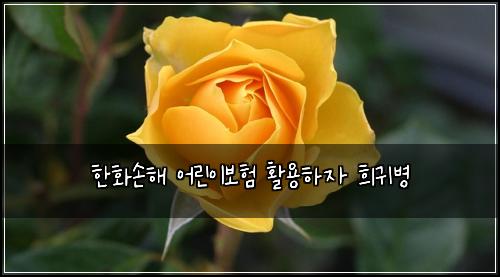 한화손해 어린이보험 활용하자  희귀병