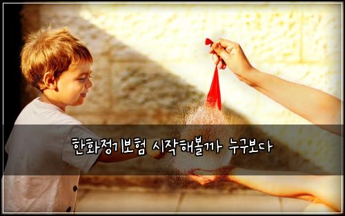 한화정기보험 시작해볼까  누구보다