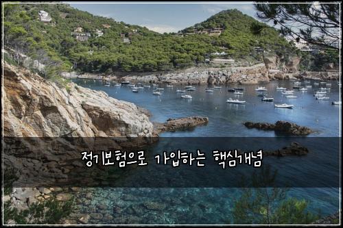 정기보험으로 가입하는 핵심개념