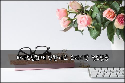 태아보험화재 약한가요 오마이갓 정보찾음