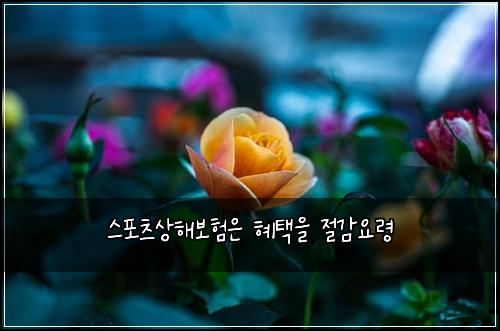스포츠상해보험은 혜택을 절감요령