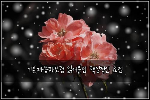 기본자동차보험 읽어볼점  핵심적인 요점