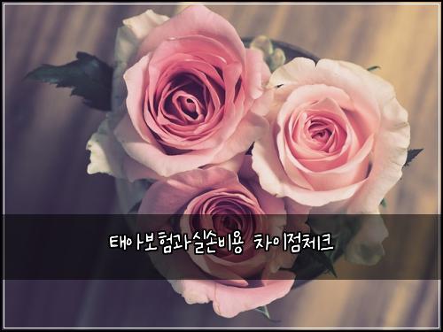 태아보험과실손비용 차이점체크