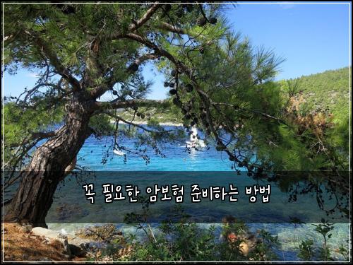 꼭 필요한 암보험 준비하는 방법