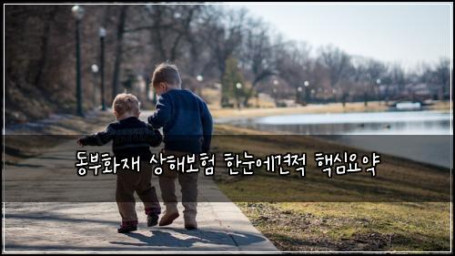 동부화재 상해보험 한눈에견적  핵심요약
