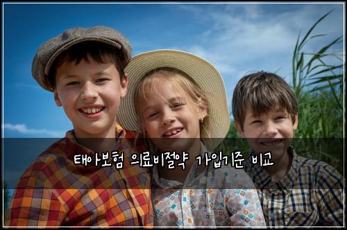 태아보험 의료비절약  가입기준 비교