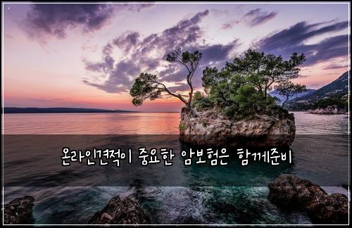 온라인견적이 중요한 암보험은 함께준비