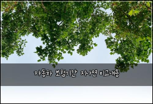 자동차 보험기간 지나면 비교내용