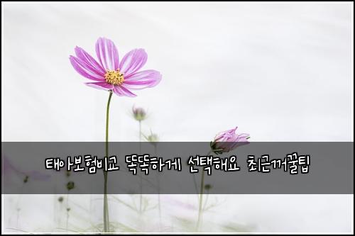 태아보험비교 똑똑하게 선택해요 최근꺼꿀팁
