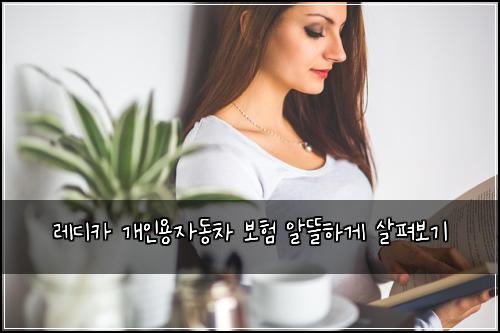 레디카 개인용자동차 보험 알뜰하게 살펴보기