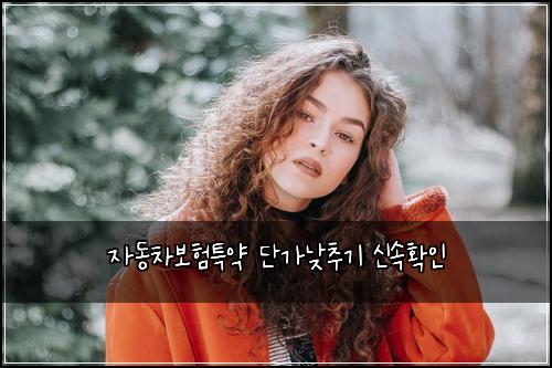자동차보험특약 단가낮추기 신속확인