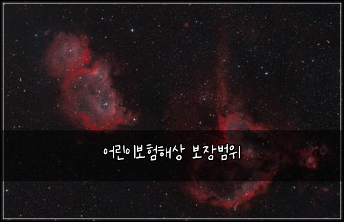 어린이보험해상 보장범위