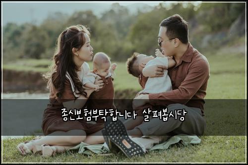 종신보험부탁합니다 살펴봅시당