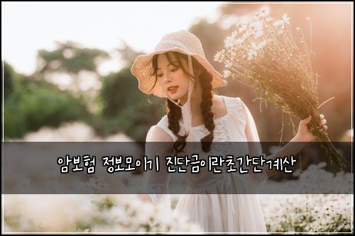 암보험 정보모이기  진단금이란초간단계산