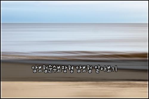 암보험순수보장형 암보험 알아보기