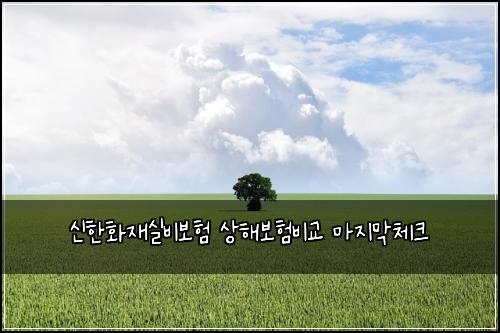 신한화재실비보험 상해보험비교 마지막체크
