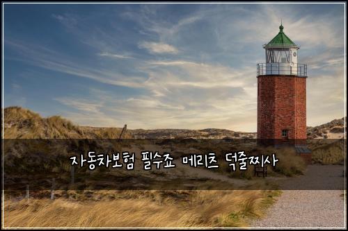 자동차보험 필수죠  메리츠 덕줄찌사