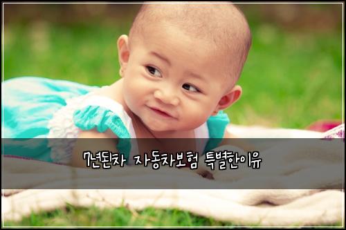 7년된차 자동차보험 특별한이유 