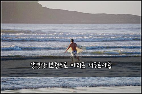 생명정기보험으로 메리츠 서두르세욥