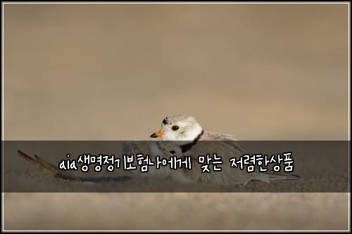 aia생명정기보험나에게 맞는 저렴한상품