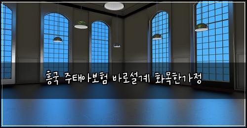 흥국 주태아보험 바로설계  화목한가정