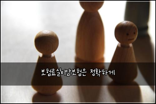 ๋ณดํ๋ฃ์ค๋น์๋ณดํ์ ์ ํํ๊ฒ