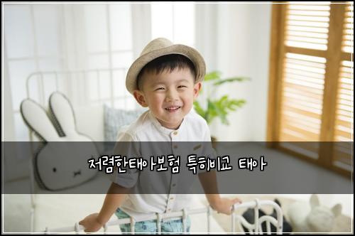 저렴한태아보험 특히비교  태아