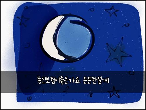 종신보험이좋은가요 든든한설계